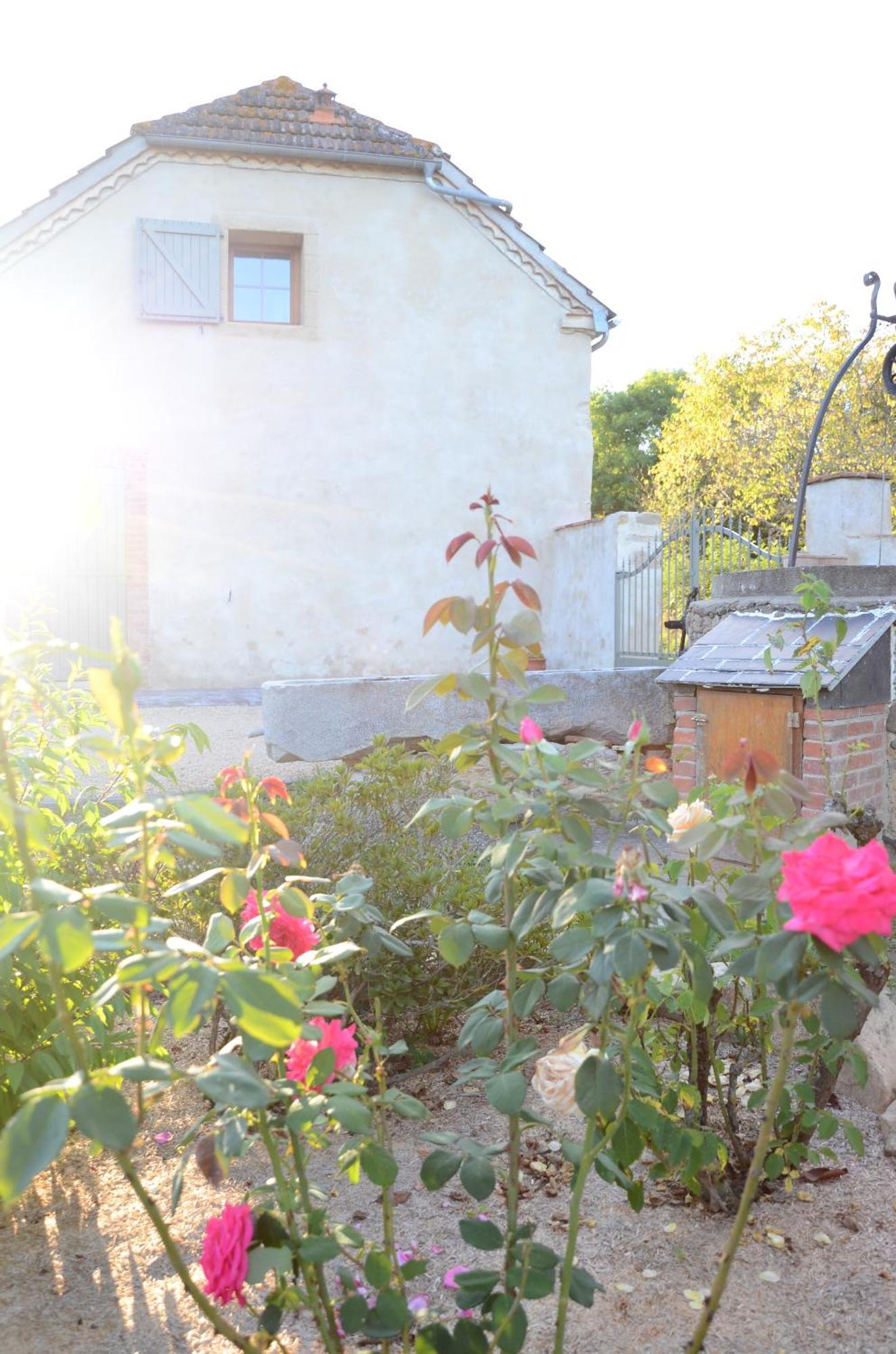 Ecogite Rural La Cle Des Champs Peyrelongue-Abos Værelse billede