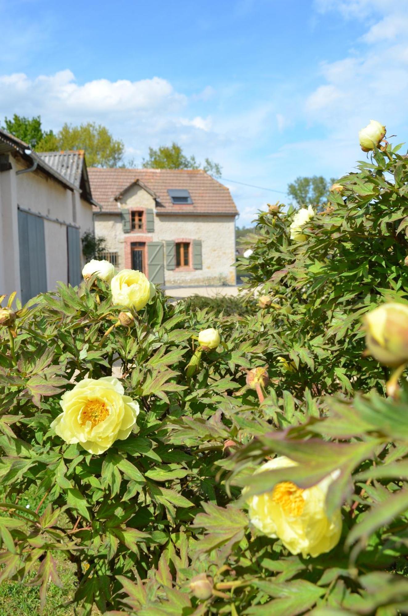 Ecogite Rural La Cle Des Champs Peyrelongue-Abos Eksteriør billede