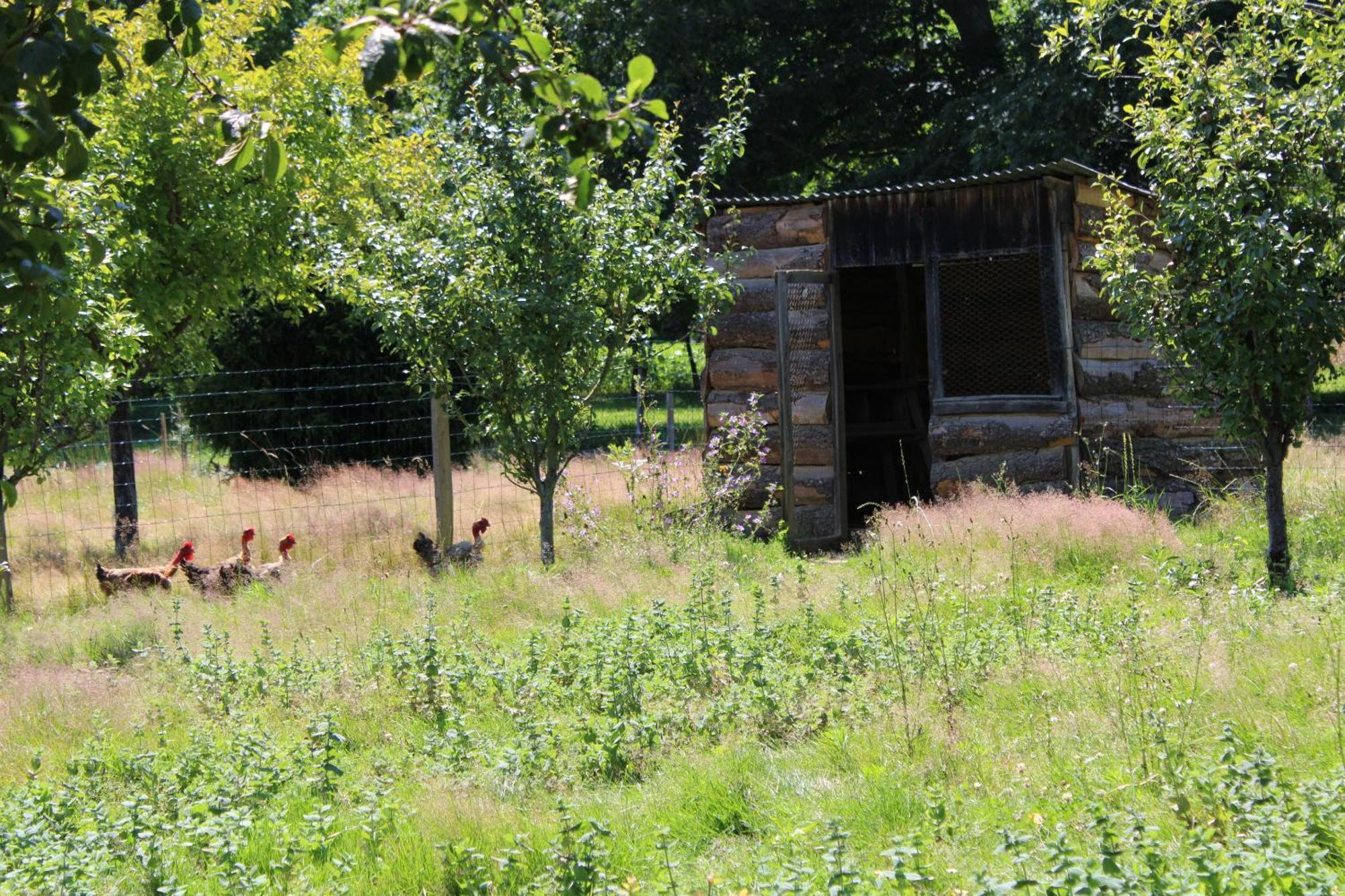 Ecogite Rural La Cle Des Champs Peyrelongue-Abos Værelse billede